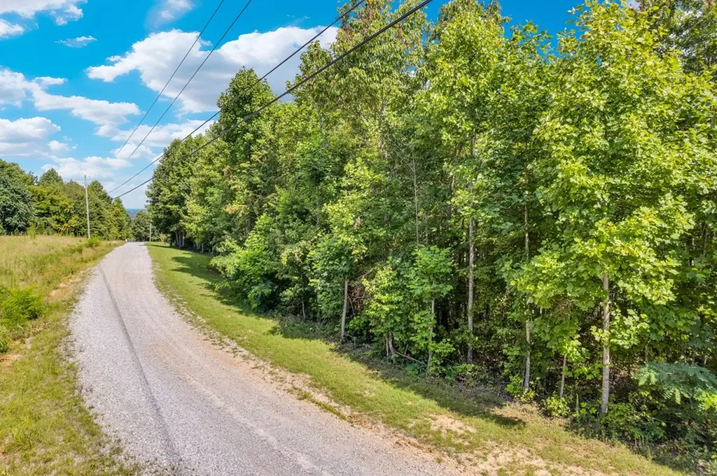 1280 Soak Creek Lane Grandview TN 37337