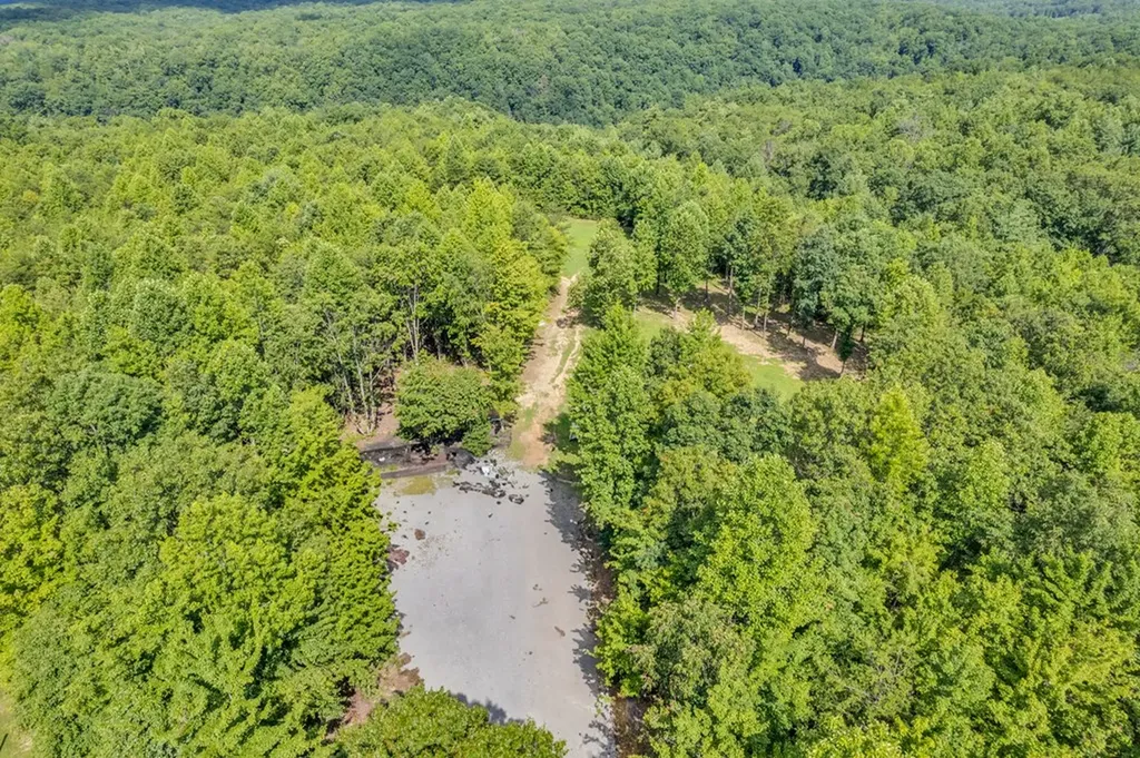 1280 Soak Creek Lane Grandview TN 37337