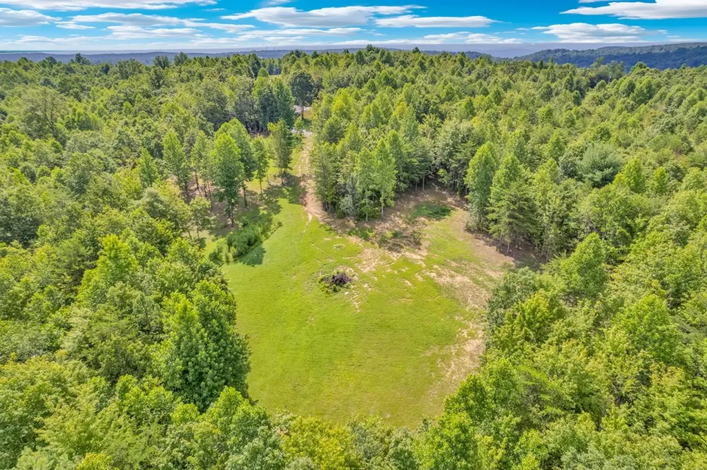 1280 Soak Creek Lane Grandview TN 37337