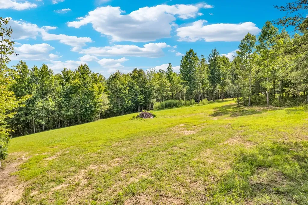 1280 Soak Creek Lane Grandview TN 37337
