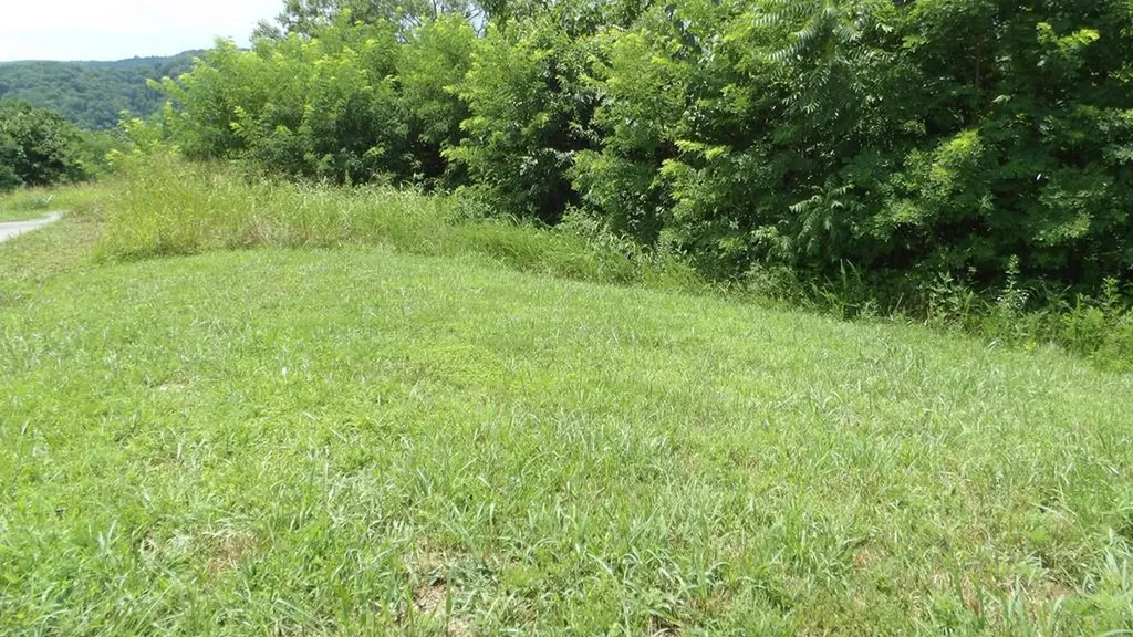 Lot 17d Crappie Lane Hilham TN 38562