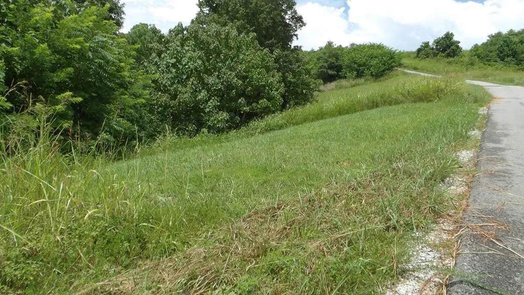 Lot 17d Crappie Lane Hilham TN 38562