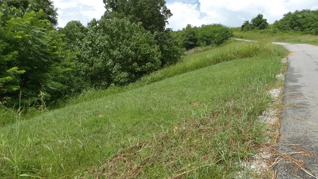 Lot 17d Crappie Lane Hilham TN 38562
