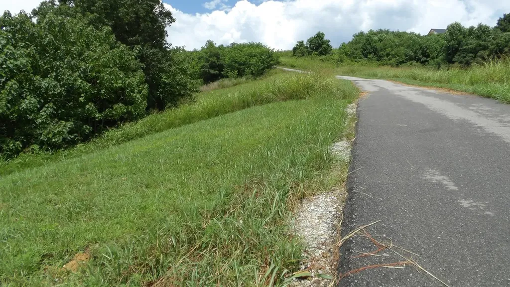Lot 17d Crappie Lane Hilham TN 38562