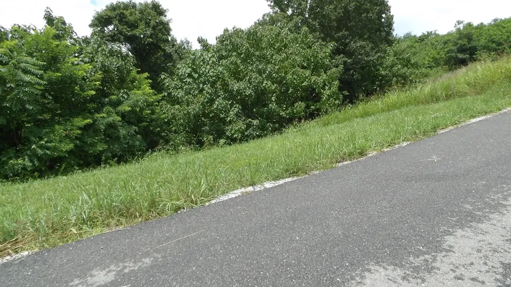 Lot 17d Crappie Lane Hilham TN 38562
