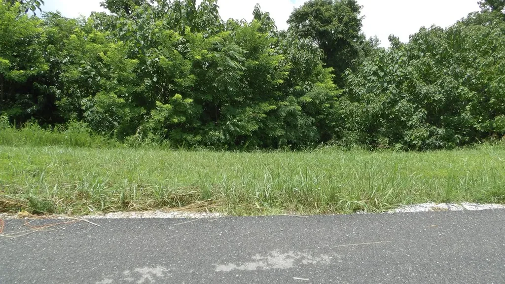 Lot 17d Crappie Lane Hilham TN 38562