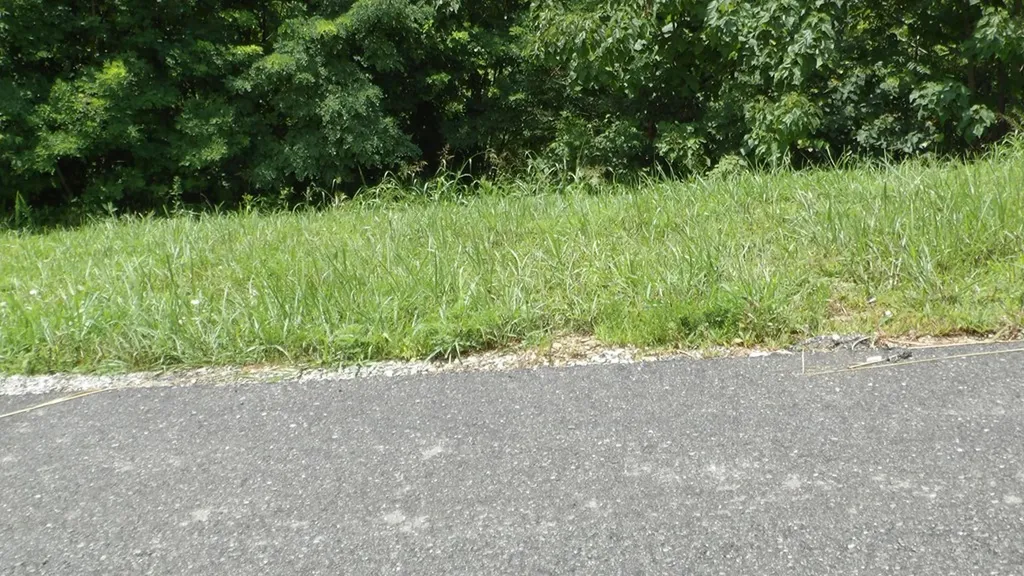 Lot 17d Crappie Lane Hilham TN 38562