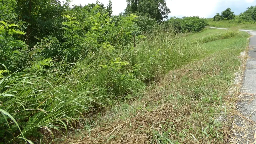Lot 17d Crappie Lane Hilham TN 38562