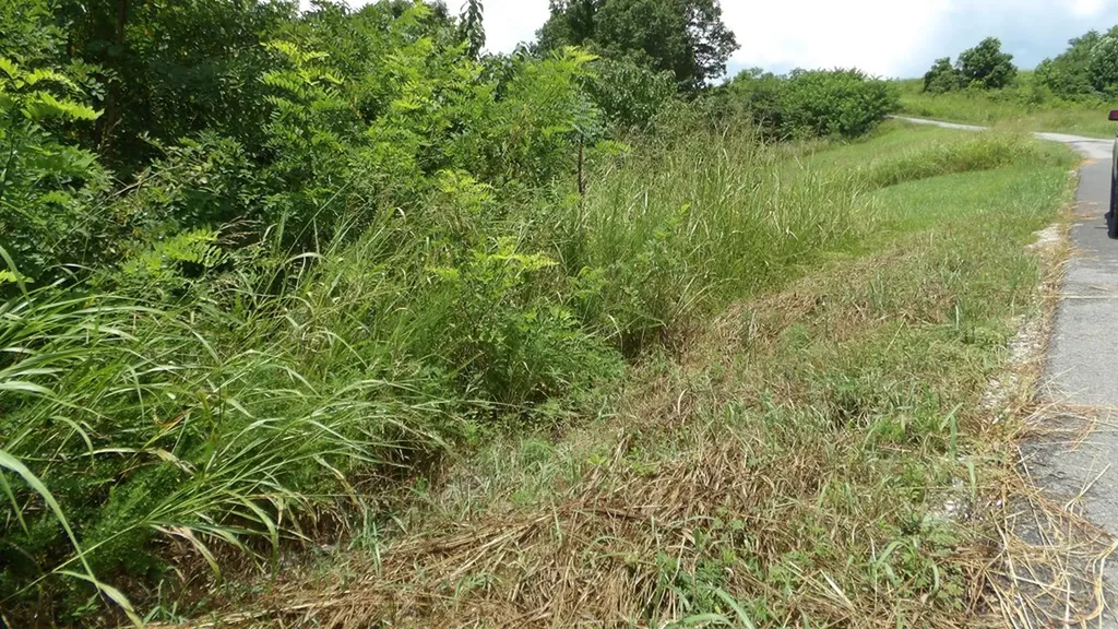 Lot 17d Crappie Lane Hilham TN 38562