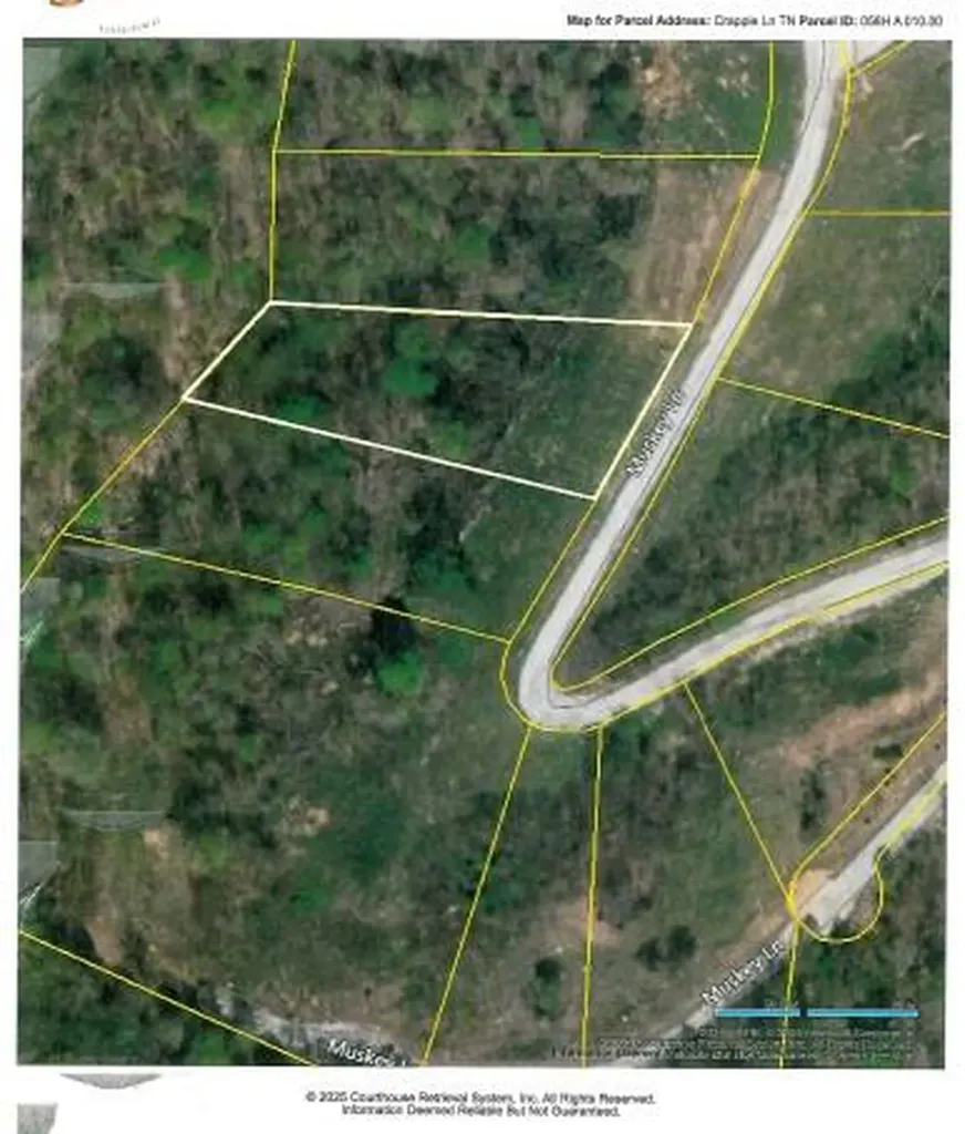 Lot 17d Crappie Lane Hilham TN 38562