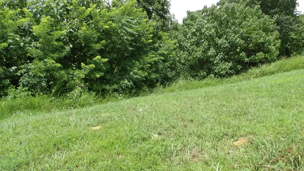 Lot 17d Crappie Lane Hilham TN 38562