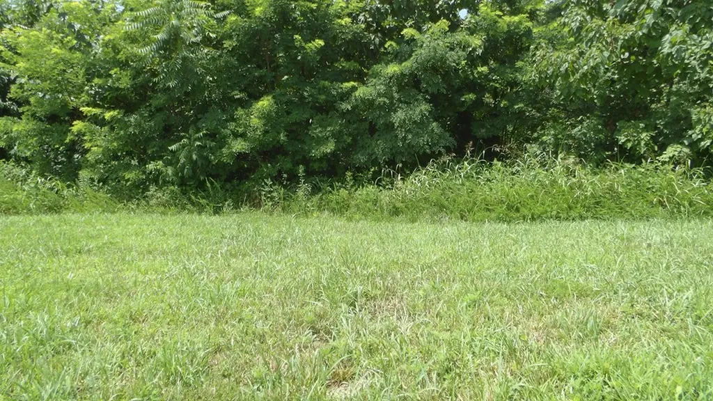 Lot 17d Crappie Lane Hilham TN 38562