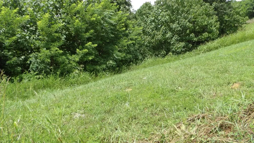 Lot 17d Crappie Lane Hilham TN 38562