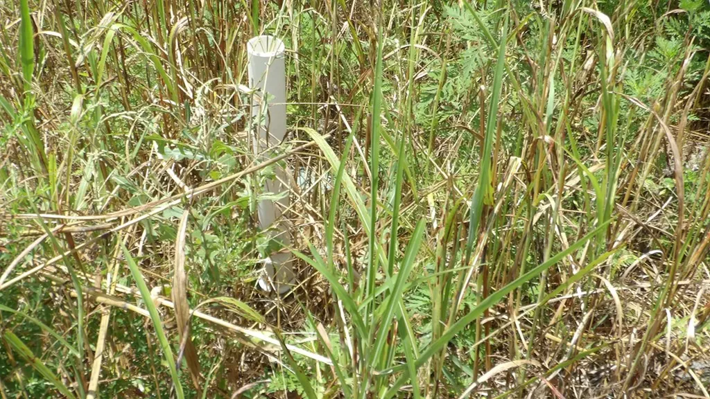 Lot 17d Crappie Lane Hilham TN 38562