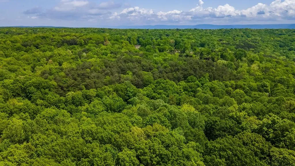 171 Fieldstone Lane Pikeville TN 37367