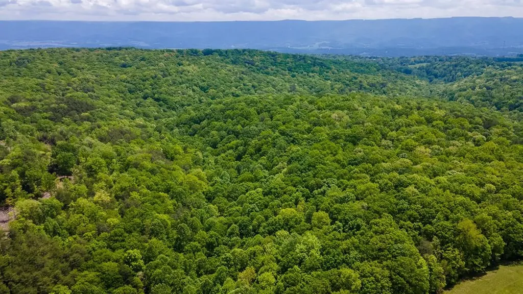 171 Fieldstone Lane Pikeville TN 37367