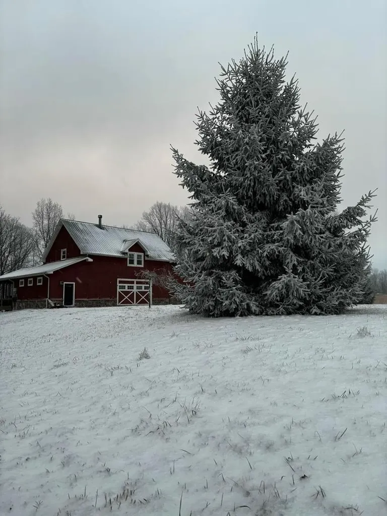 171 Fieldstone Lane Pikeville TN 37367