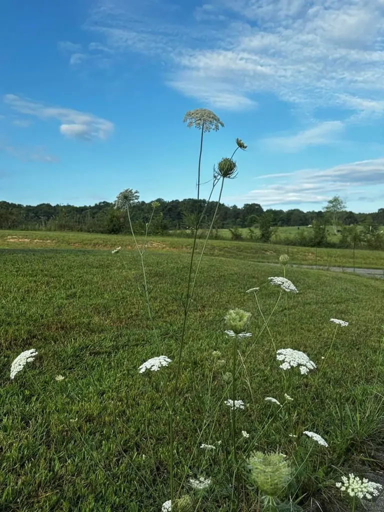 171 Fieldstone Lane Pikeville TN 37367