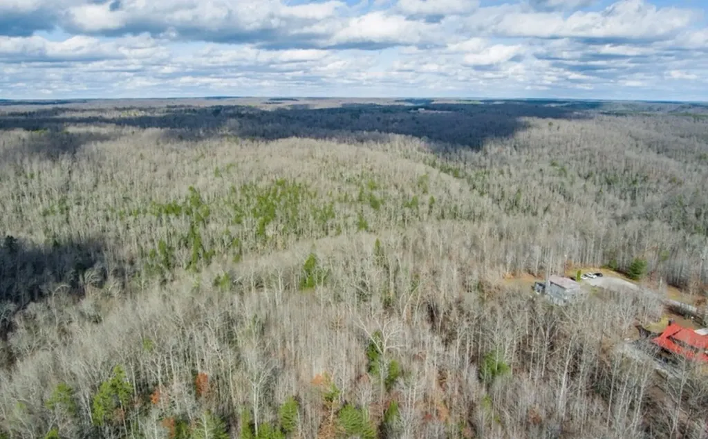 50145 Buckeye Lane Crawford TN 38554