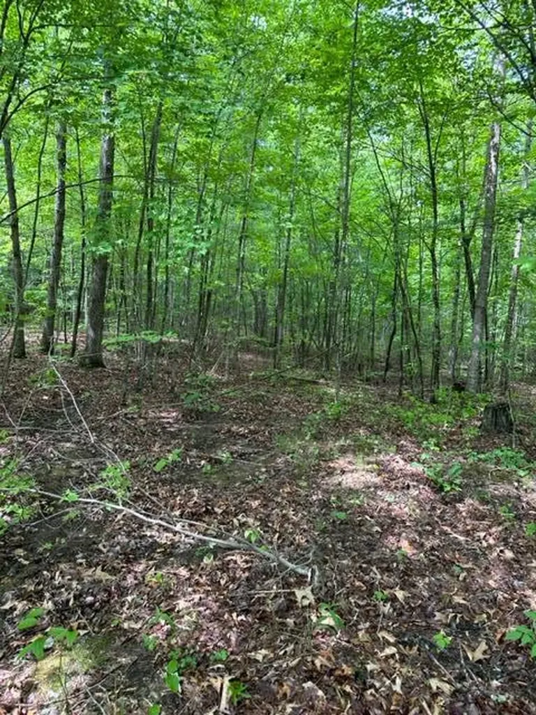 Lot 335 Flat Top View Wilder TN 38589