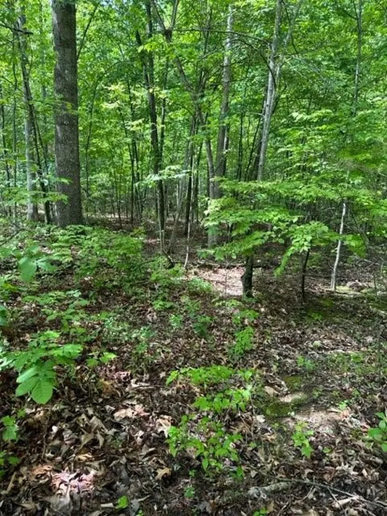 Lot 335 Flat Top View Wilder TN 38589
