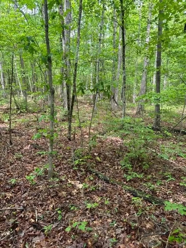 Lot 335 Flat Top View Wilder TN 38589