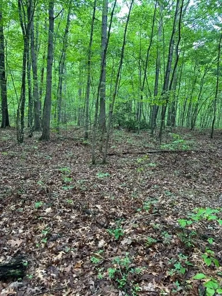 Lot 335 Flat Top View Wilder TN 38589