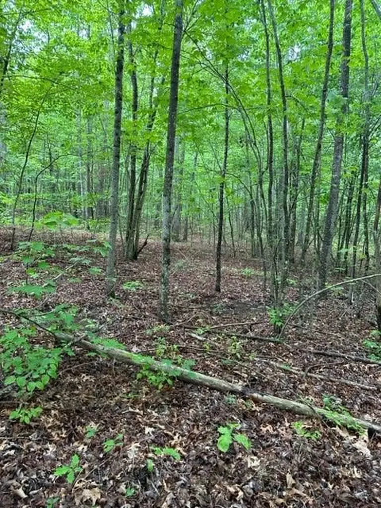 Lot 335 Flat Top View Wilder TN 38589