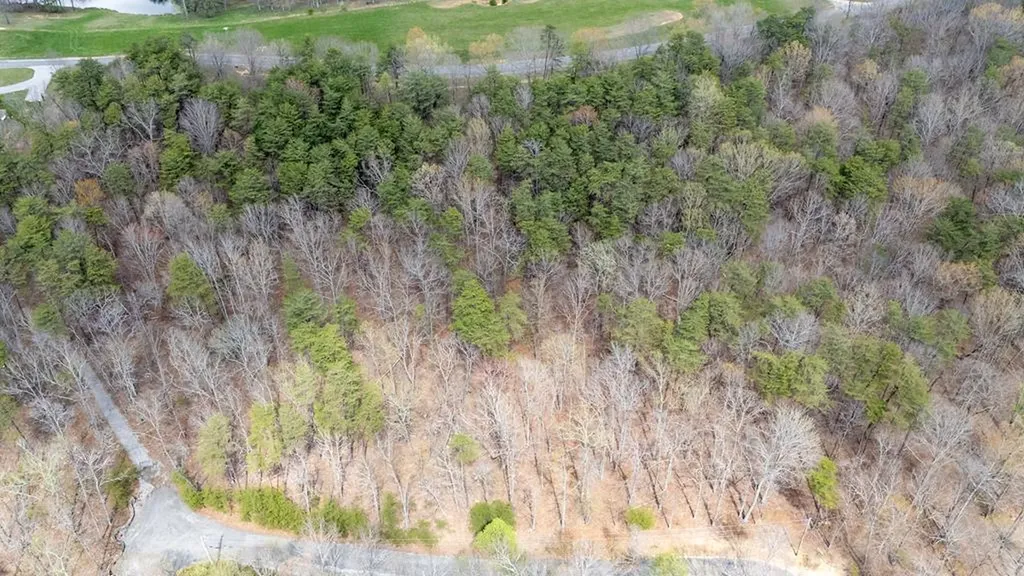 Lot 31 High Meadow Spencer TN 38585