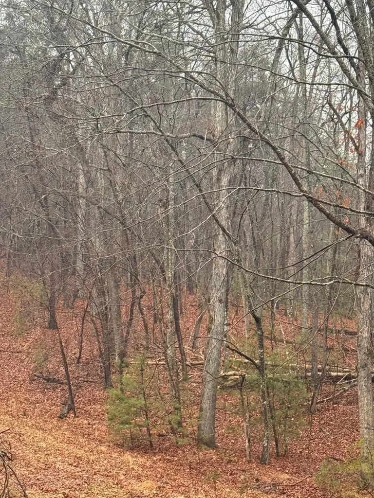 18 Bacham Crossville TN 385558