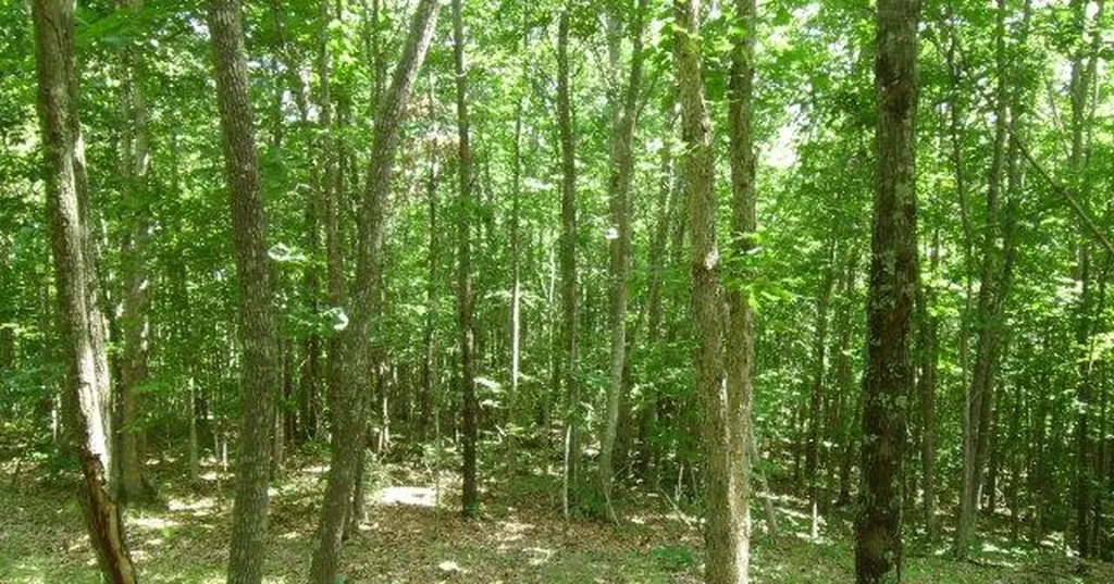 Lot 25 Key Ridge Lane Crawford TN 38556