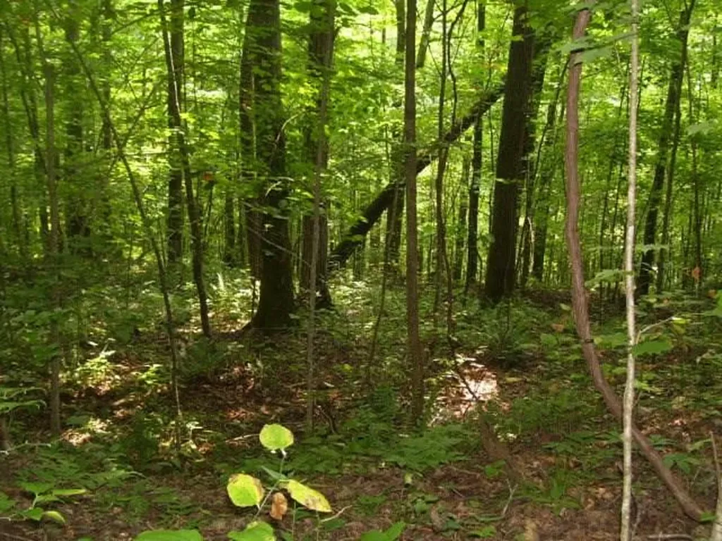 Lot 25 Key Ridge Lane Crawford TN 38556