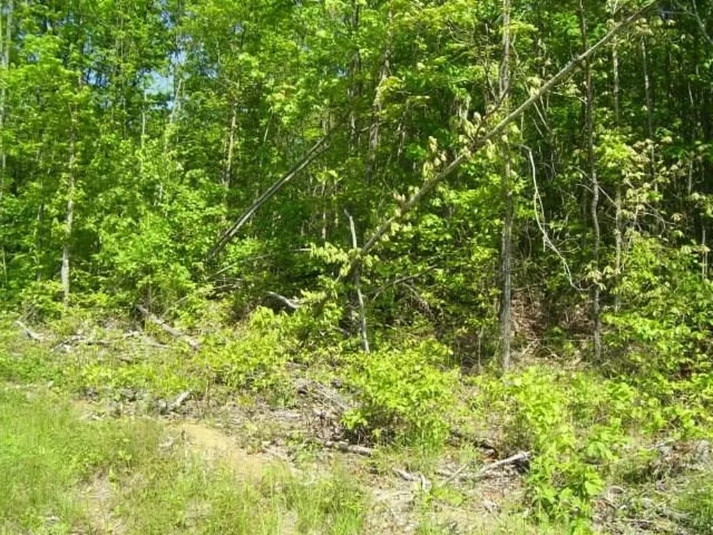 Lot 25 Key Ridge Lane Crawford TN 38556
