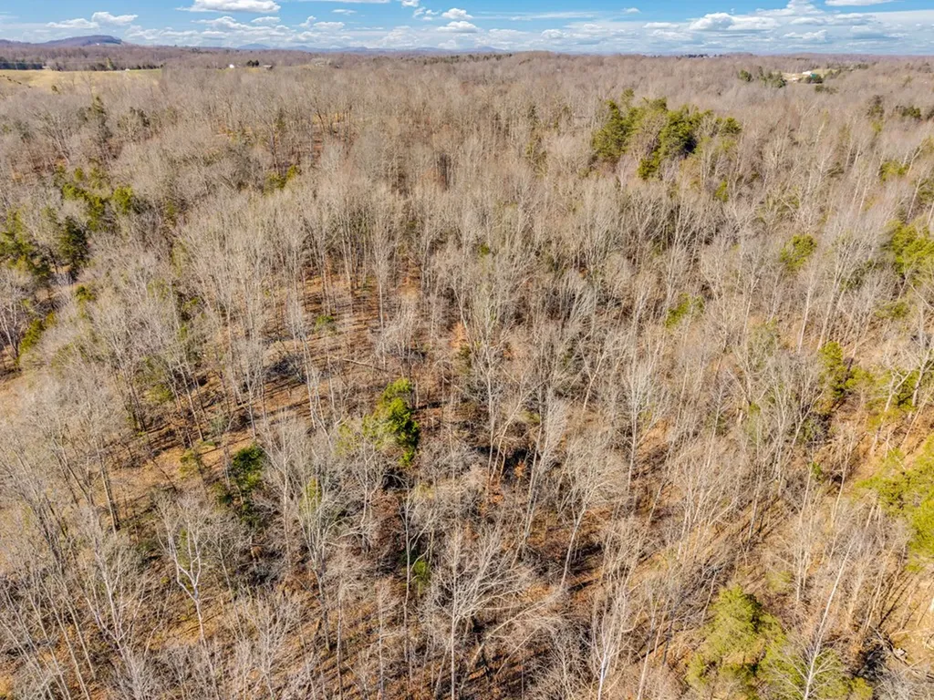 0 James Reeder Lane Allons TN 38541