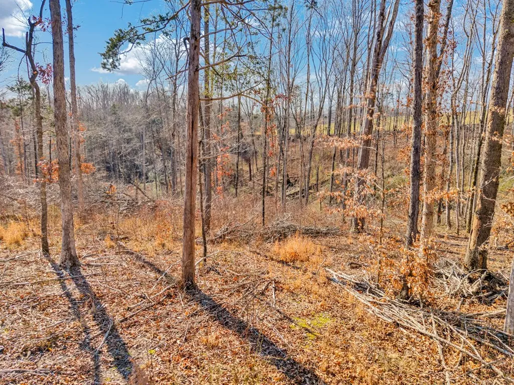 0 James Reeder Lane Allons TN 38541