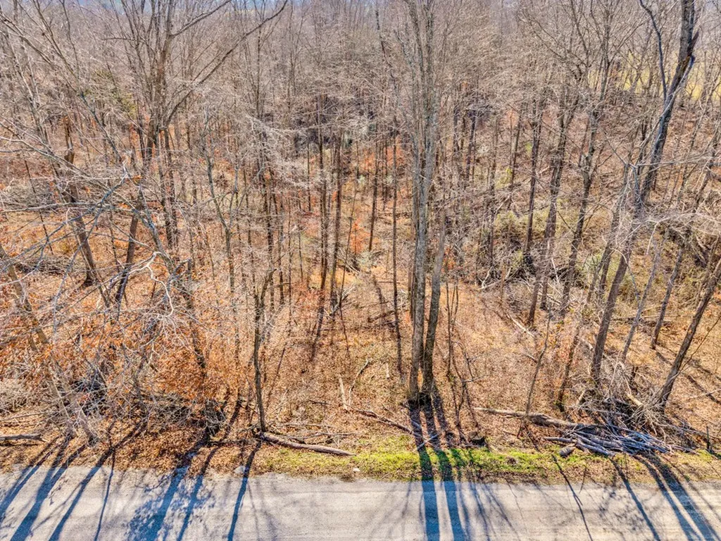 0 James Reeder Lane Allons TN 38541