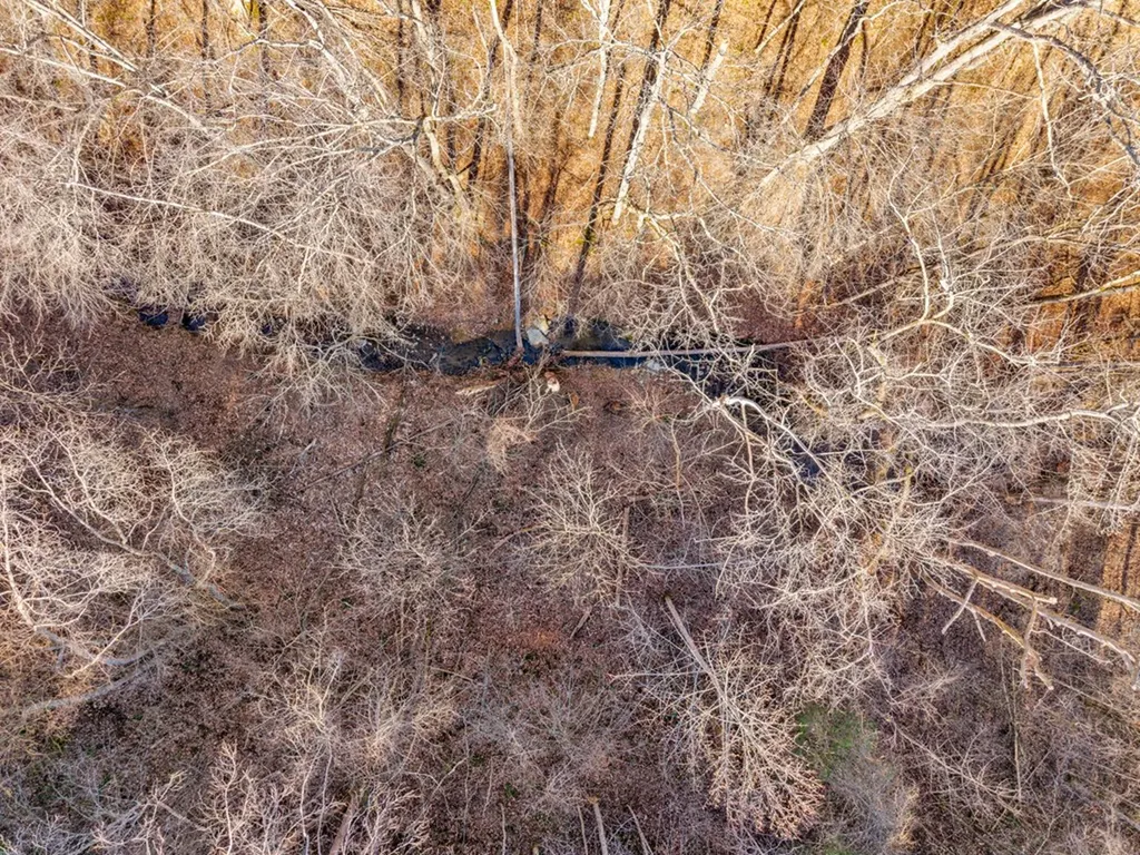 0 James Reeder Lane Allons TN 38541