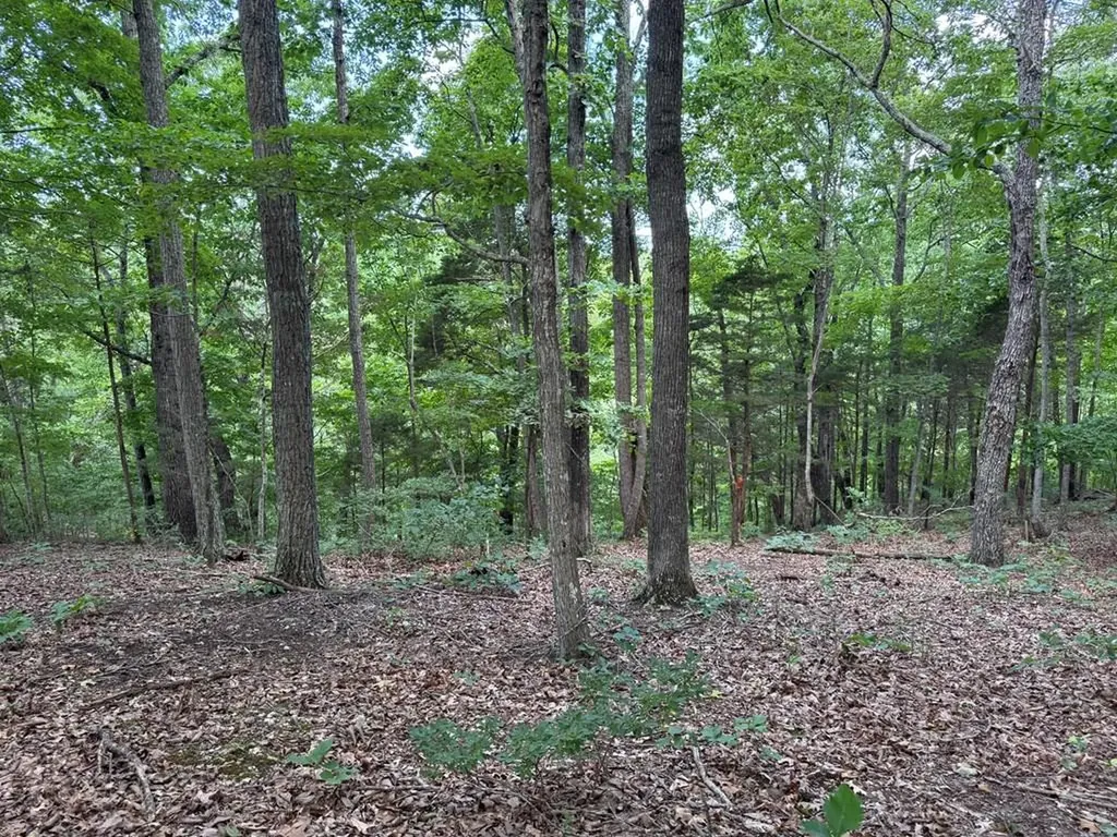 Lot 12 Cornerstone Parkway Allons TN 38541
