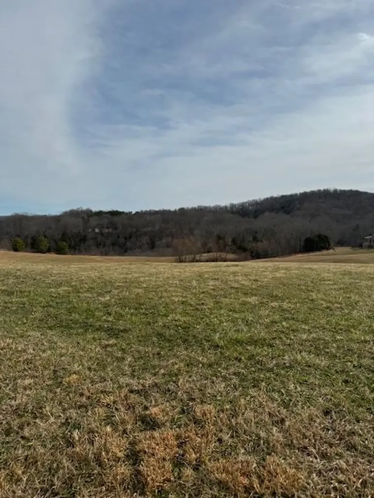 Lot 13 Holly Bend Drive Byrdstown TN 38549
