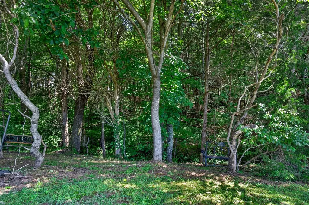 3013 Tulip Lane Cookeville TN 38501
