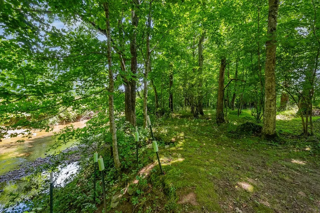 3013 Tulip Lane Cookeville TN 38501