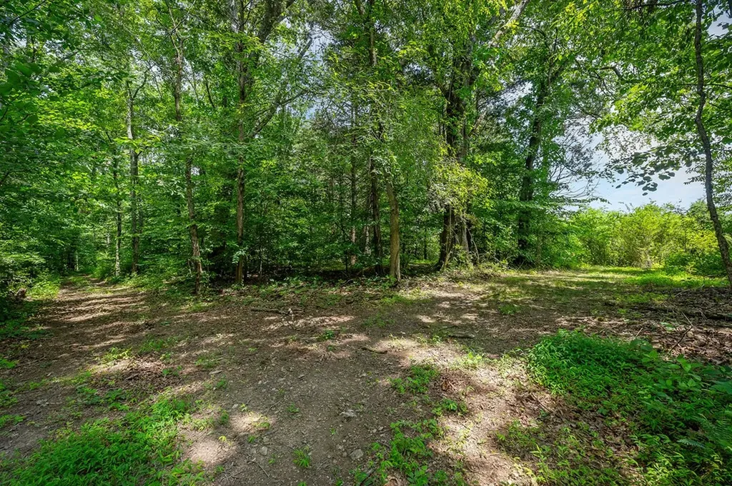 3013 Tulip Lane Cookeville TN 38501