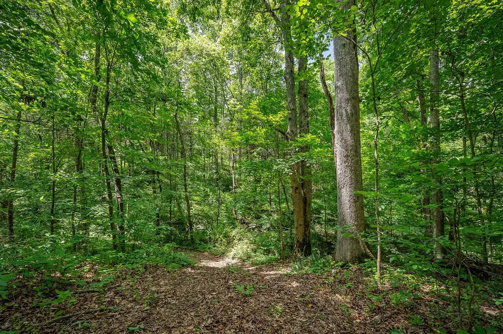 3013 Tulip Lane Cookeville TN 38501