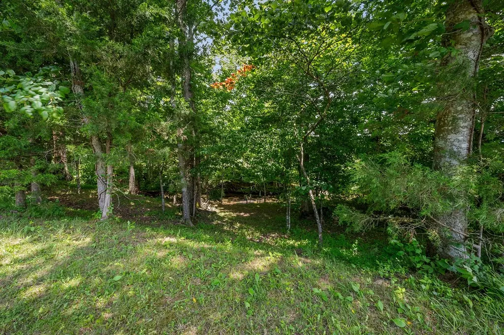 3013 Tulip Lane Cookeville TN 38501