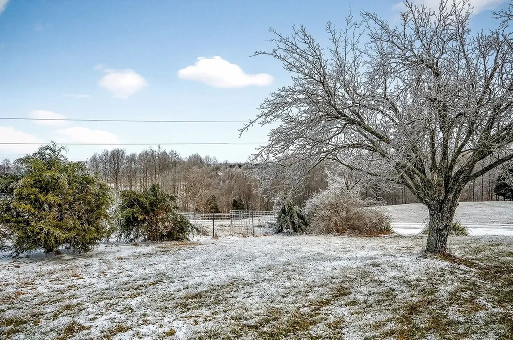 146 Dc Lane Allons TN 38541