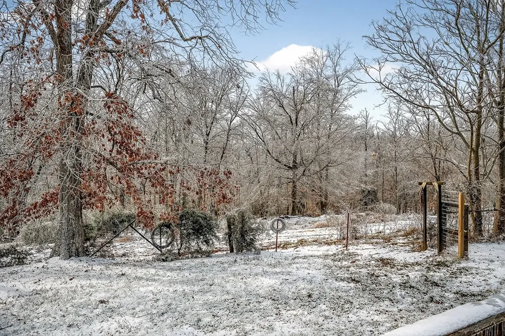 146 Dc Lane Allons TN 38541