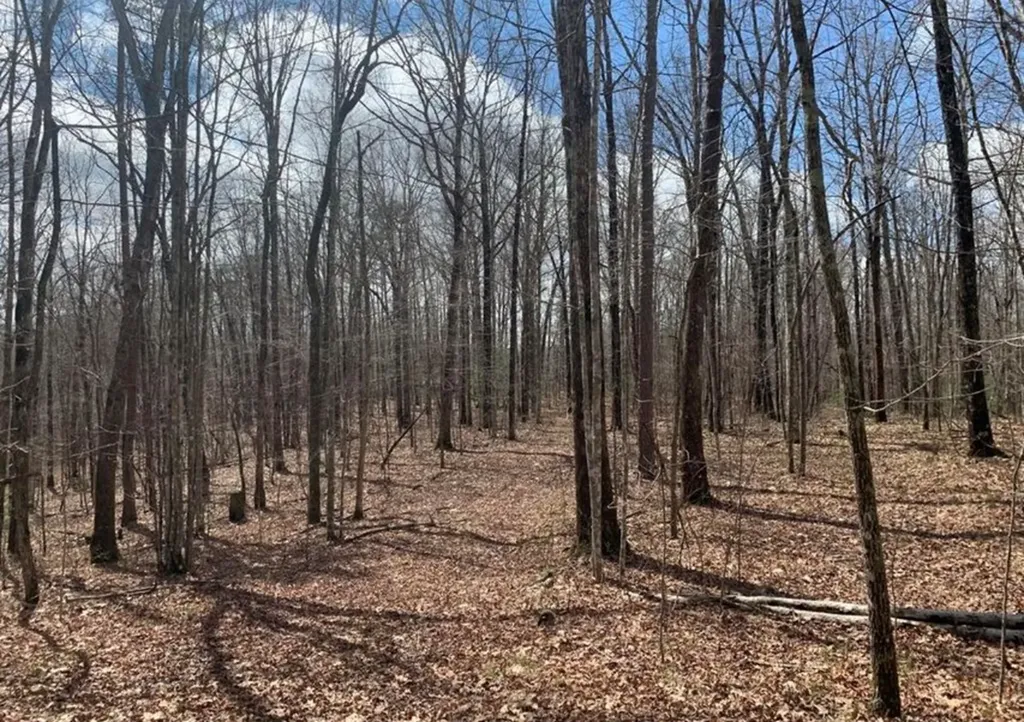 2870 Leatherwood Ford Road Jamestown TN 38556