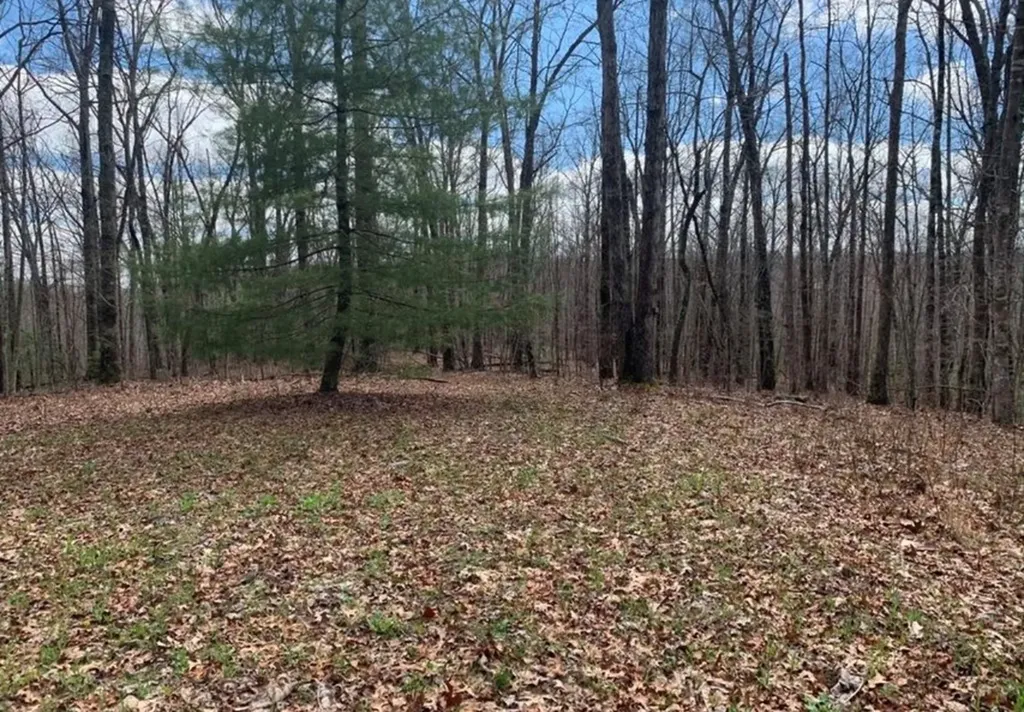 2870 Leatherwood Ford Road Jamestown TN 38556