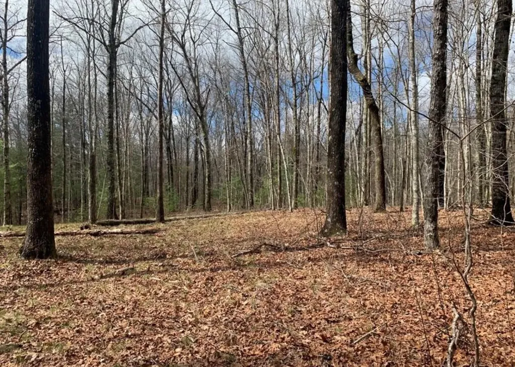 2870 Leatherwood Ford Road Jamestown TN 38556