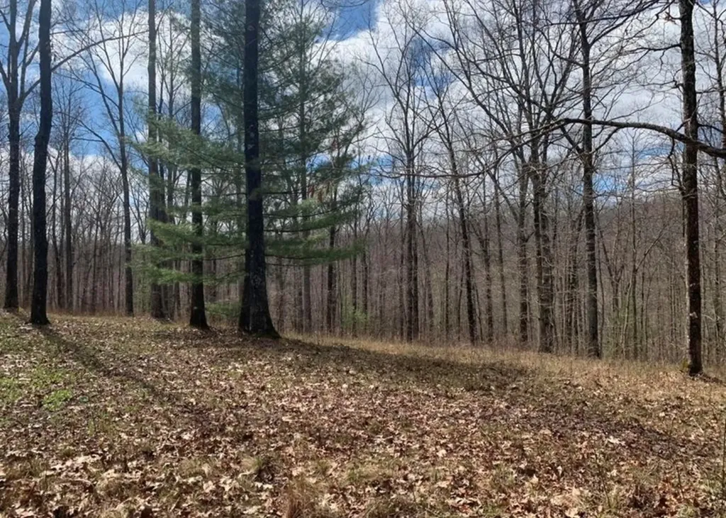 2870 Leatherwood Ford Road Jamestown TN 38556